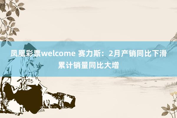 凤凰彩票welcome 赛力斯：2月产销同比下滑累计销量同比大增