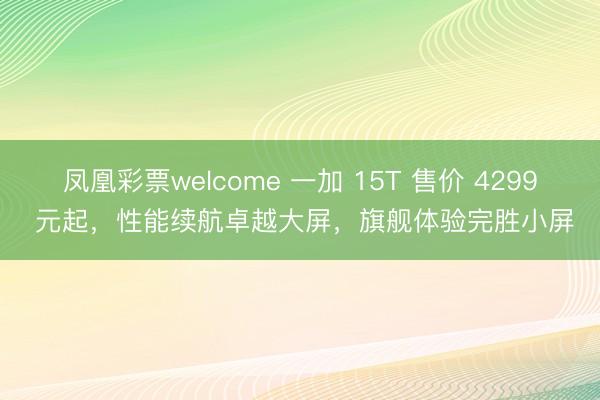 凤凰彩票welcome 一加 15T 售价 4299 元起，性能续航卓越大屏，旗舰体验完胜小屏