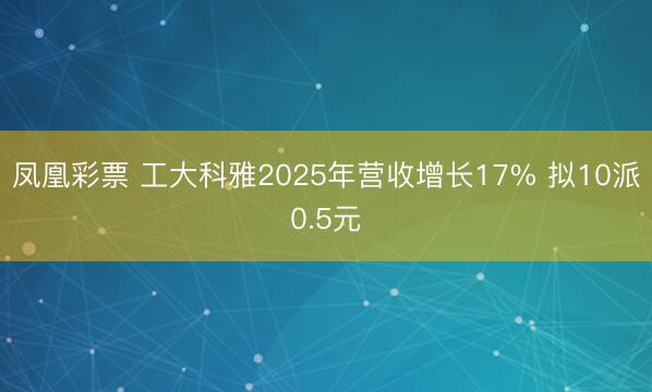 凤凰彩票 工大科雅2025年营收增长17% 拟10派0.5元